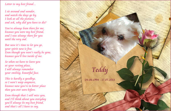 Teddy, 04.06.1994-17.07.2013